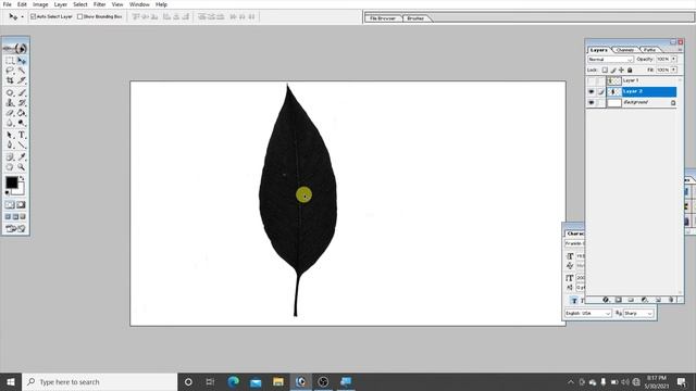 Customize Shape Brushes inPhotoshop 7.0 | Customize Brushes in photoshop | Photoshop tutorial смотреть онлайн