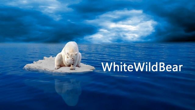 WhiteWildBear Best _ Chillstep Mix