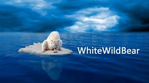 WhiteWildBear Best _ Chillstep Mix