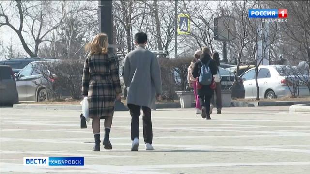 Почти полмиллиарда рублей выделено в этом году на социальные контракты в Хабаровском крае смотреть онлайн