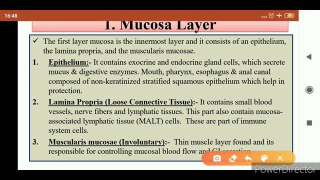 Histology and Function of GIT (Gastro-Intestinal Tract)/Alimentary canal: Histology and Functions смотреть онлайн