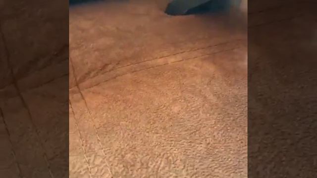 Химчистка дивана в детской смотреть онлайн