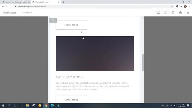 Twenty : Free Bootstrap 4 Multipage HTML5 Website Template смотреть онлайн