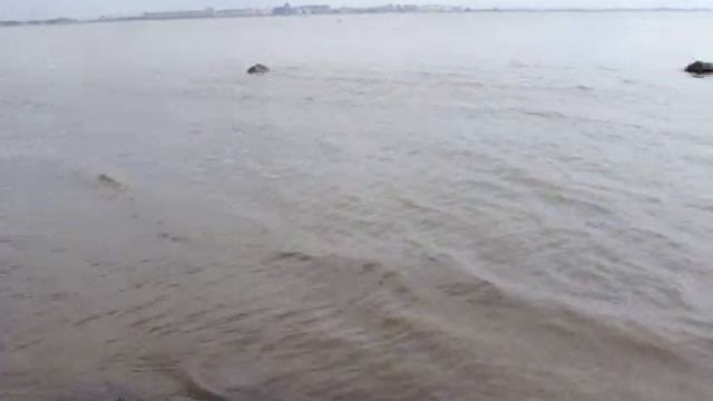 На берегу Финского залива в р-не Ольгино-Лахта смотреть онлайн