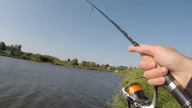 Ловля щуки летом. Нашли щуку за толстолобиком смотреть онлайн