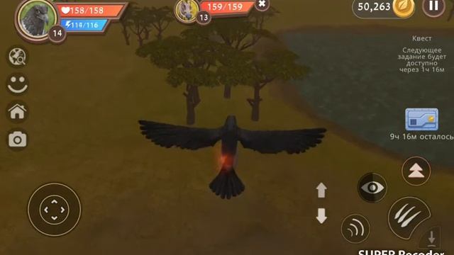 Wildcraft. Орлиная семья смотреть онлайн