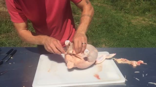 How To Butcher A Chicken: Step By Step