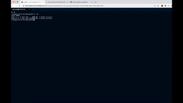Running a BNB Smart Chain Full Node смотреть онлайн