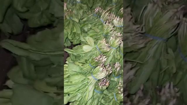 Как мыть зелень???? ❓ смотреть онлайн