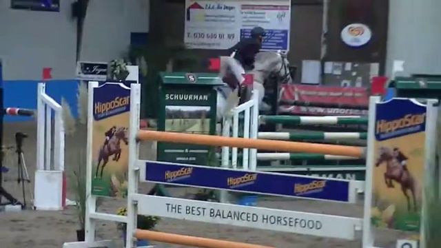 KWPN hengst Carrera (Larino x Contender) met Richard Kapteijn Z-spr. Houten 27-10-`13 смотреть онлайн