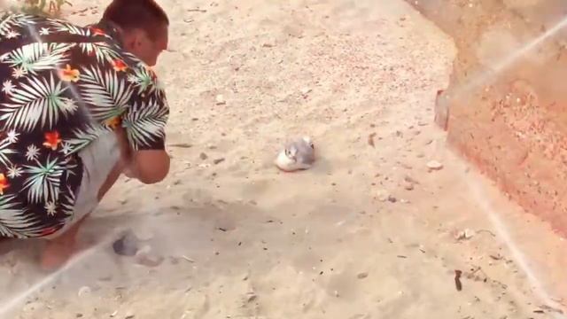 Таганрог/Ростов-на-Дону /2020/путешествия/орёл и решка/приколы смотреть онлайн