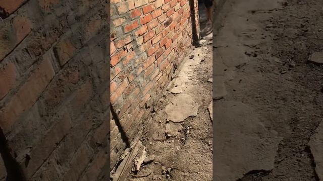 Вся правда про Макса. Неуправляемый. Что делать? смотреть онлайн