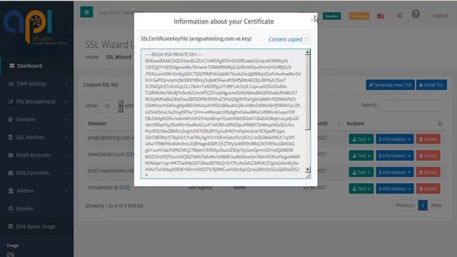 CWP - User Panel: Custom SSL Installation смотреть онлайн