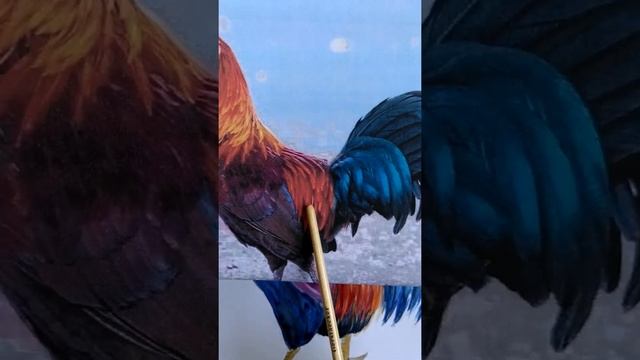 Рисуем Петуха для детей 9-11 лет 3 часть смотреть онлайн