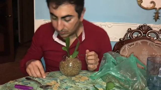 Пришли подростки Лиодоро! Подготовка к продаже смотреть онлайн