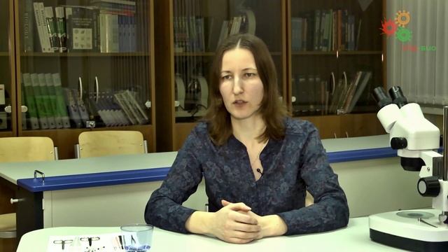 Зоология беспозвоночных. Часть 5. Оценка олимпиадных работ. (Е. Богомолова) смотреть онлайн
