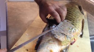 как почистить карпа