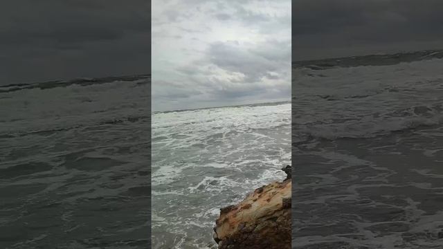 Архипо-Осиповка 22 ноября 2023 года ? Шторм ? Видео: Ольга Калитеева смотреть онлайн