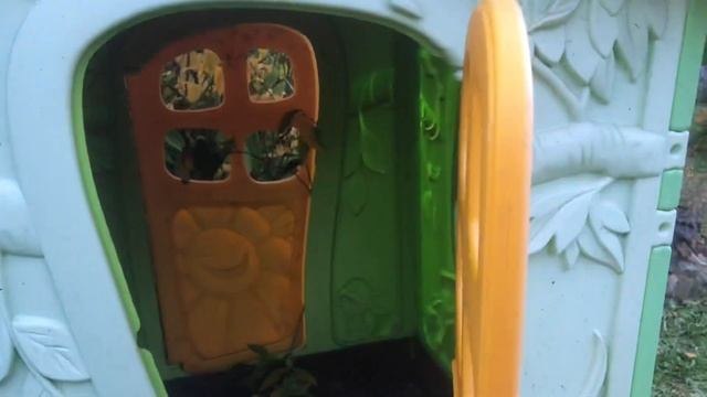 Сказка про Царевну Варвару и вора БАСКЕТБОЛИСТА смотреть онлайн