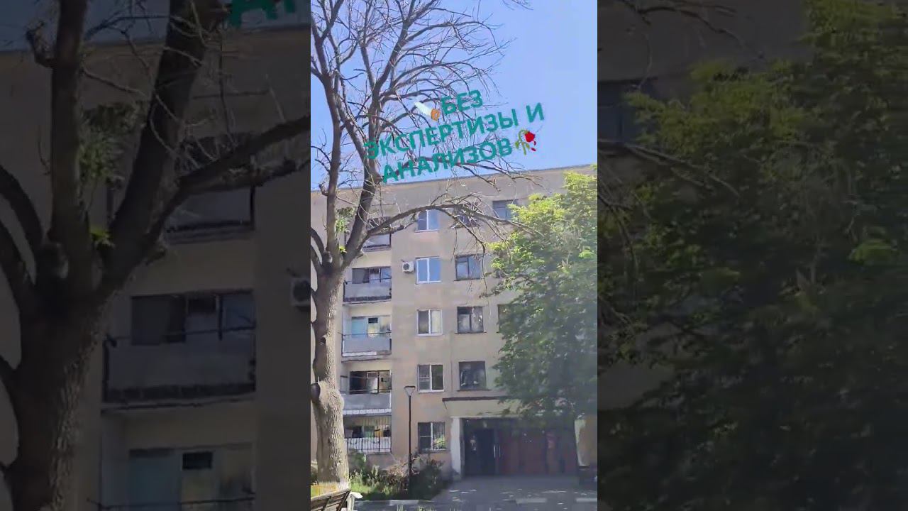 БЕЗ ЭКСПЕРТИЗЫ И АНАЛИЗОВ # 6 #спилдеревьев #спилитьдерево #спилили #дерево #деревья #старыйоскол смотреть онлайн