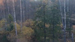 Электричка Санкт-Петербург - Сосново - Приозерск - Кузнечное. Вид справа от Пискаревки до Пл. 54 км