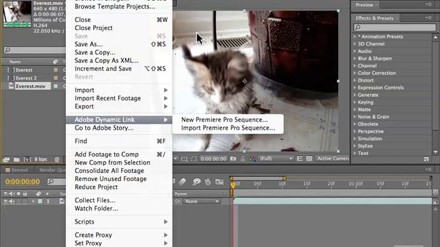 Adobe After Effects CS5 Tutorials - Saving & Exporting, Exporting Part No.2 смотреть онлайн
