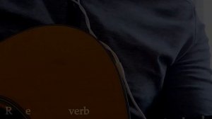 X2 Double G0 Звукосниматель