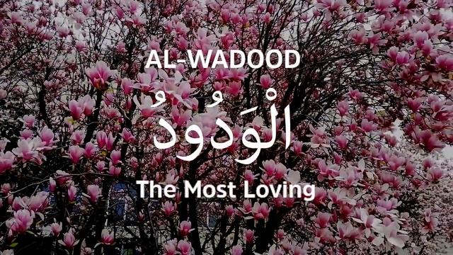 Когда ты читаешь великие 99 Аллаха имен, твоя душа расслабляется и становится красивой. смотреть онлайн