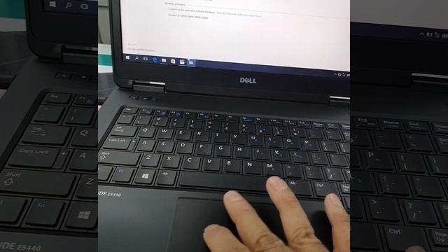 عرض جبار علي لابتوب dell e5440 смотреть онлайн