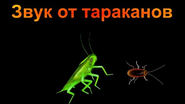 Звук против тараканов/Sound Against Cockroaches смотреть онлайн