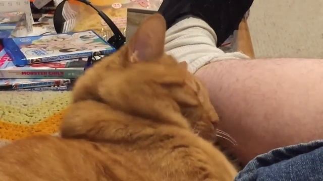 Tango Being Cute While I Watch Anime смотреть онлайн