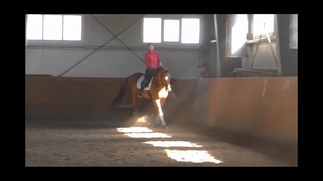 СХЕМА ЕЗДЫ ПРЕДВАРИТЕЛЬНЫЙ ПРИЗ В ДЕТИ смотреть онлайн