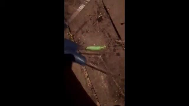 Сделал когти и что-то на подобии перчатки Фредди Крюгера смотреть онлайн