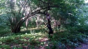 Чёрная Мамба атакует