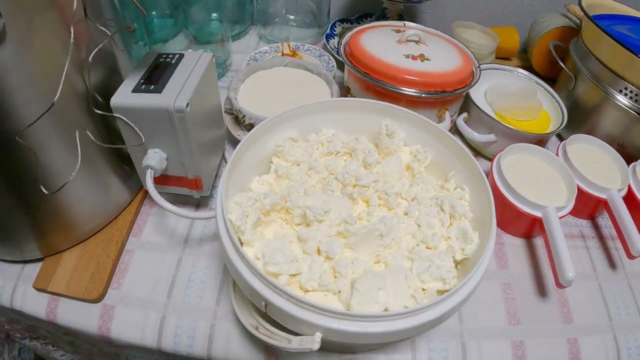 Делаем творог в сыроварне Bergman! Творог оценили, способ тоже! Первый запуск сыроварни! смотреть онлайн