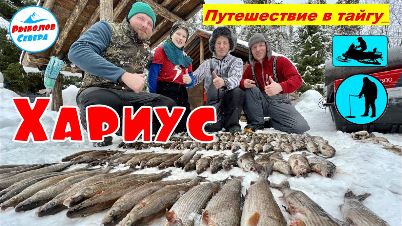 ✅ ЛОВЛЯ ХАРИУСА НА ТАЁЖНОЙ РЕЧКЕ☀️☀️☀️ СМОТРЕТЬ ОБЯЗАТЕЛЬНО!!☝️ #рыболов_севера смотреть онлайн