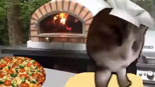 pizza cat making pizza смотреть онлайн