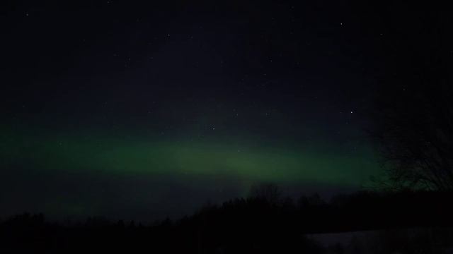 Северное сияние в Ленинградской области. Снято на смартфон. смотреть онлайн