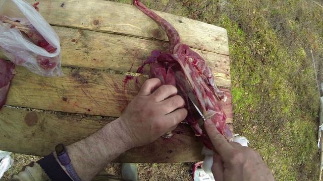 Разделка дикого гуся на охоте