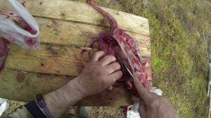 Разделка дикого гуся на охоте