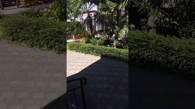 Лазаревское 10.07.2020. Отель Салют. смотреть онлайн