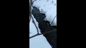 Замор!!! Это пруд в ЧЕРЕПОВО,что по Калужскому шоссе!