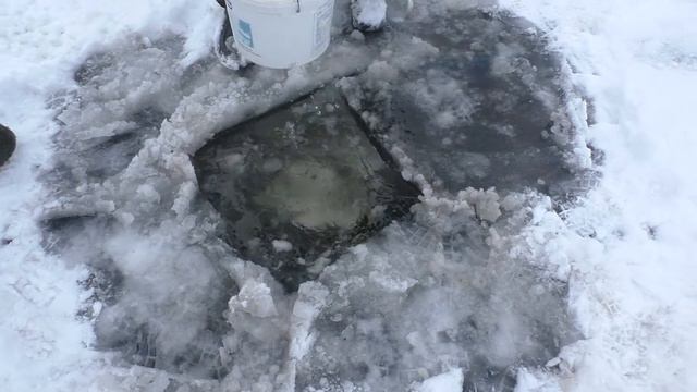 Фестиваль Бро Фиш ТВ смотреть онлайн