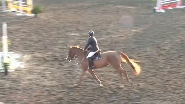 86 Leapear Orleans y Miguel Torres - Cala de Mijas - Hípica el Dorado - España. смотреть онлайн