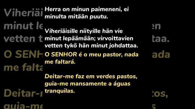 HB - Ratkaisu (legendado) смотреть онлайн