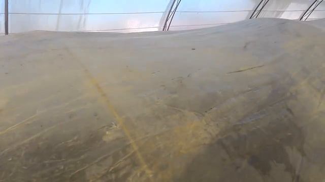 Теплица своими руками. Моя арочная теплица.