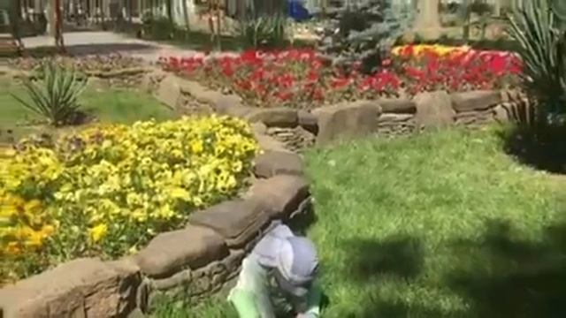 Парк в станице Северской смотреть онлайн