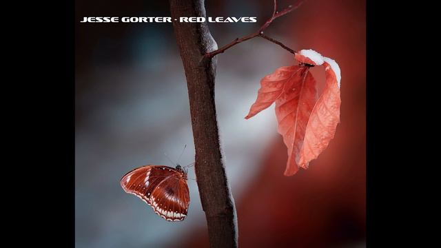 Jesse Gorter - Red Leaves