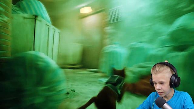 Спасение Друзей и Побег из Тюряги | Stray Прохождение #9 смотреть онлайн