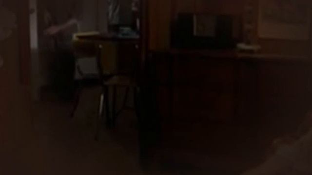 The Motel 2005 смотреть онлайн